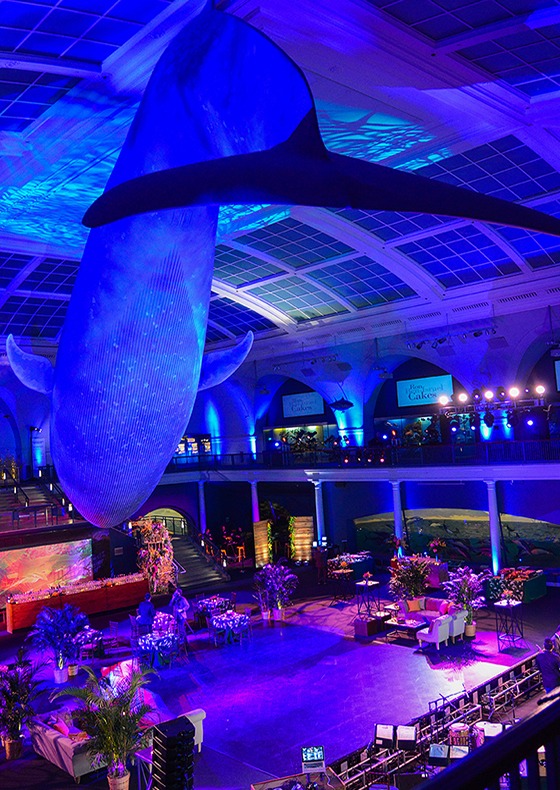 BlckHs Event Production Slider  11 1